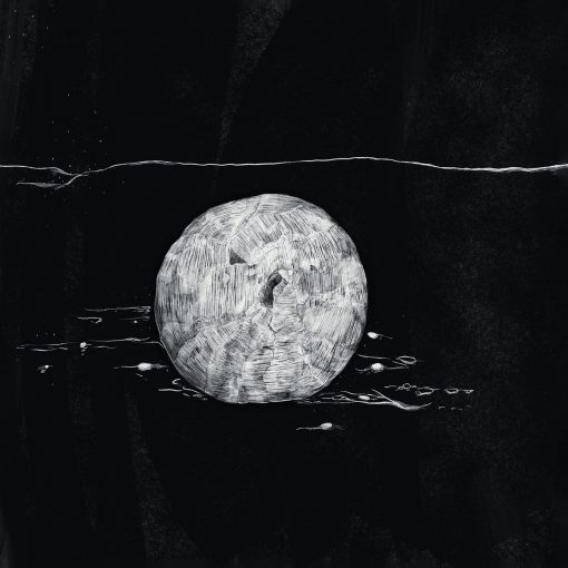 FF034 : Pettersson | Ashen Plain 12"