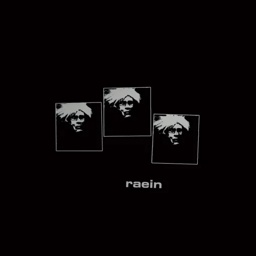 Raein | Il N'y A Pas De Orchestre 12"